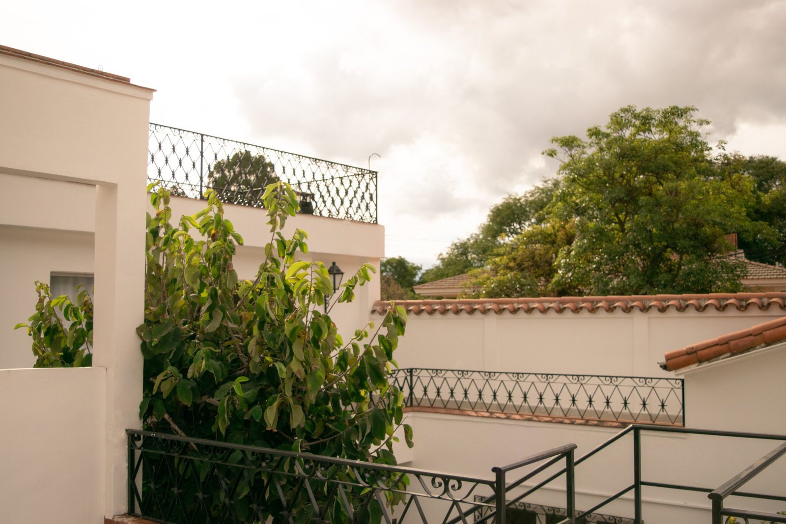 Terraza